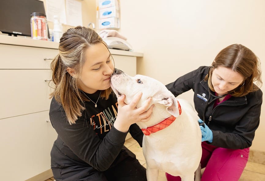 Two people in dark tops crouching beside a white dog with a red collar, one kissing its nose