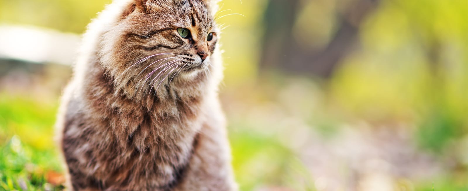 World of Animals at Bensalem - Bensalem Township