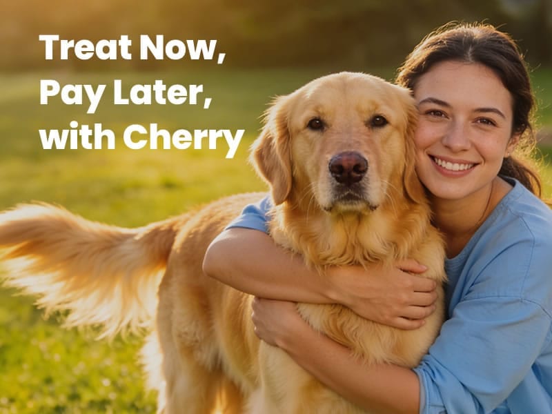 Smiling woman hugging a golden dog on grass beside the text Treat Now, Pay Later, with Cherry