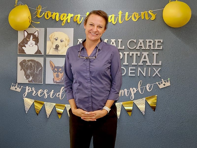 Smiling person in a purple shirt standing in front of a wall with framed pet pictures and party decorations