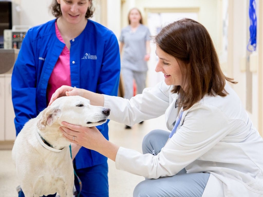 Person in a white coat crouching to pet a white dog beside a person in a blue jacket