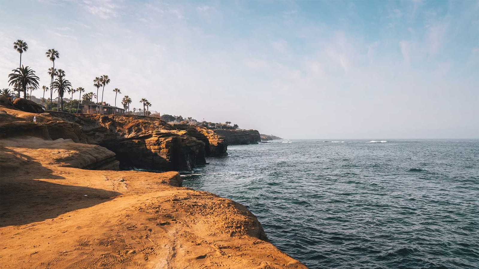 Sandstone sea cliffs with palm trees along the shore beside a calm ocean