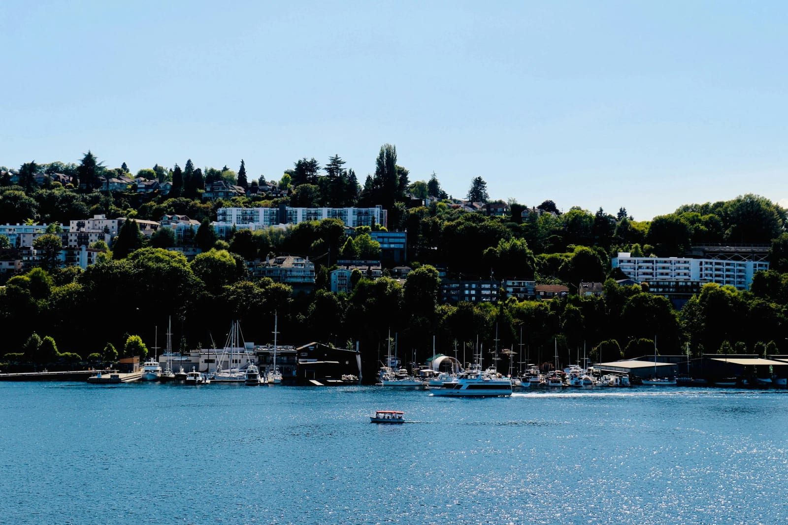 Eastlake Veterinary Hospital: Carl Anderson, DVM - Seattle