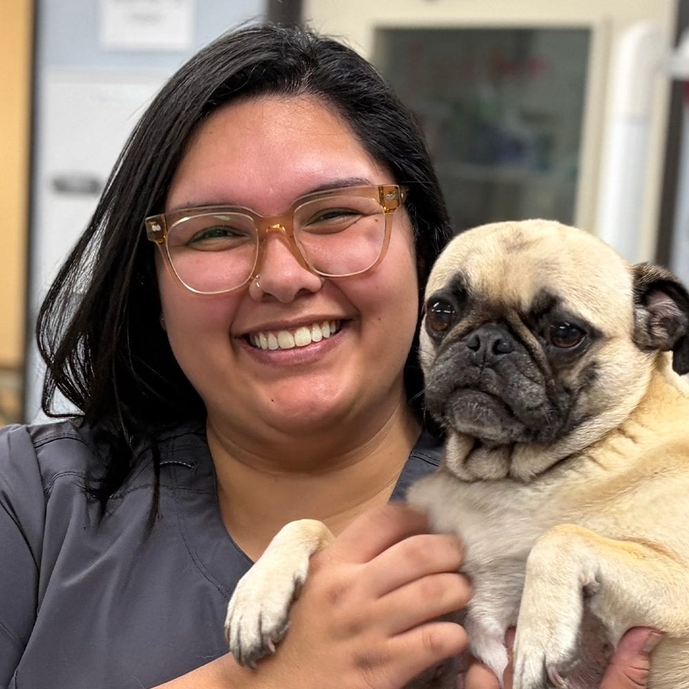 Smiling person with glasses and long dark hair in grey scrubs holding a fawn dog with a black muzzle