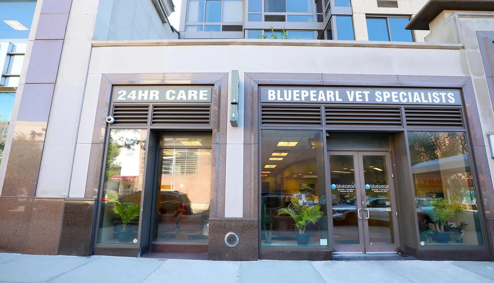 NYC Veterinary Specialists and 24 Hour Animal Emergency - Queens - Queens