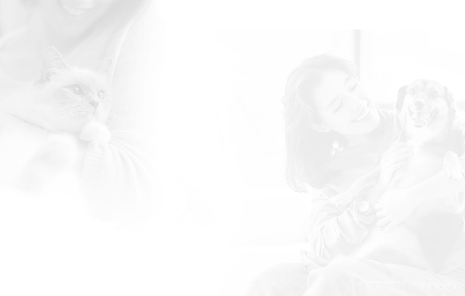 Heavily faded pale image of a smiling woman with a dog and a white cat held at left