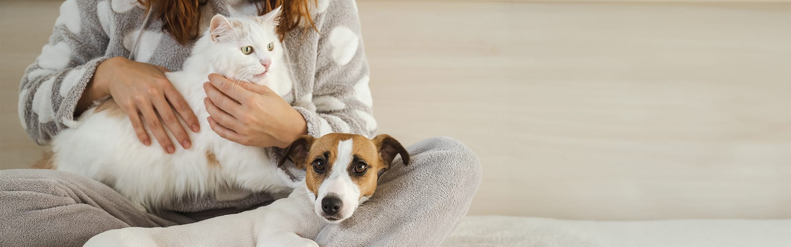 Person in a patterned grey top holding a white fluffy cat with a small brown and white dog beside them