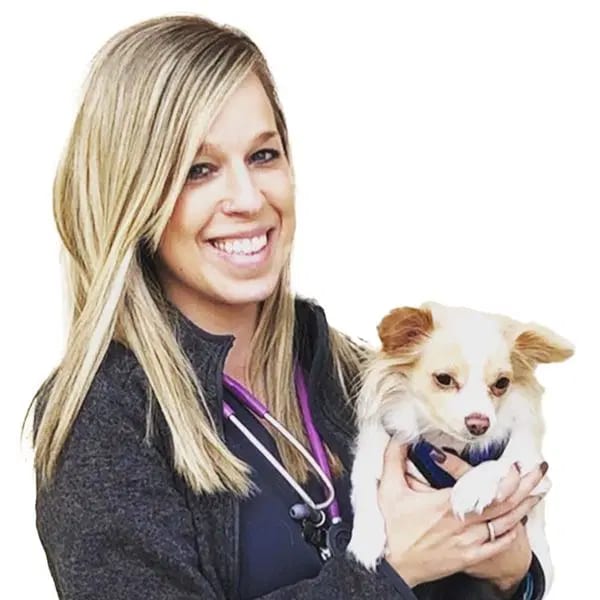 Smiling woman with long blonde hair and a stethoscope holding a small cream and white dog