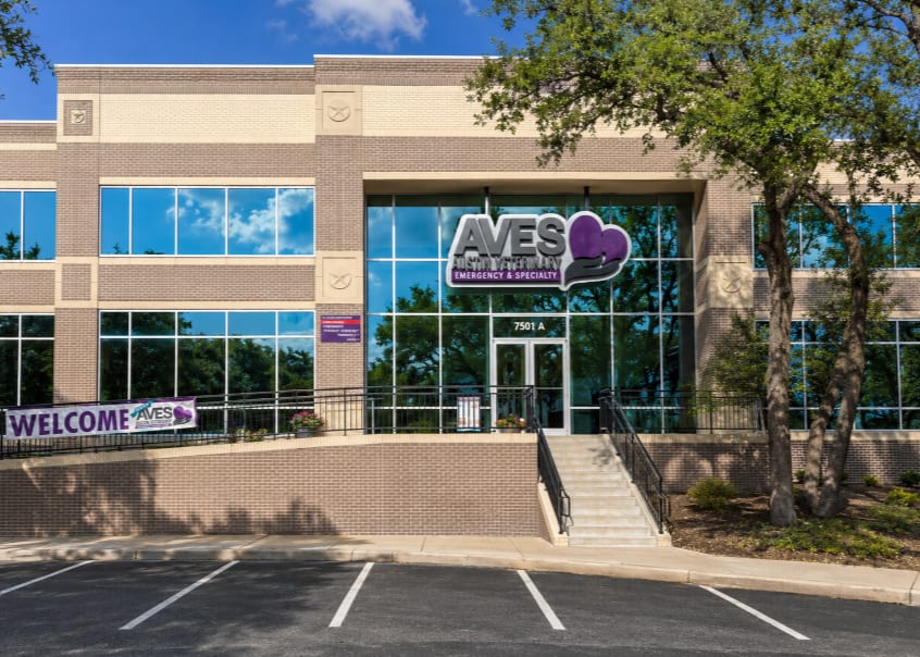 CVCA Cardiac Care For Pets - Austin