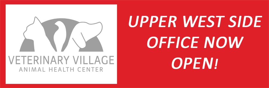 Banner reading Upper West Side Office Now Open next to a Veterinary Village Animal Health Center logo