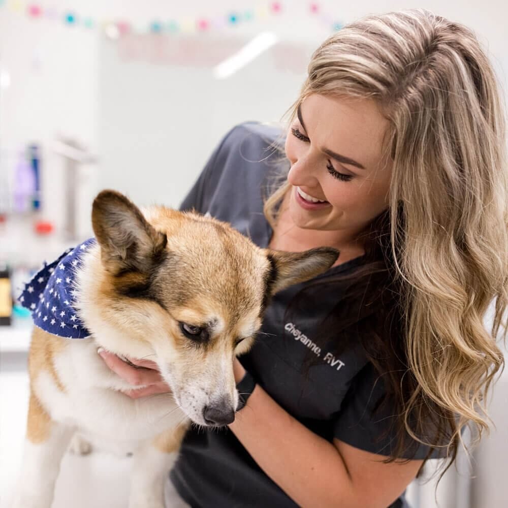 Smiling woman in dark scrubs hugging a tan and white dog wearing a blue star bandana