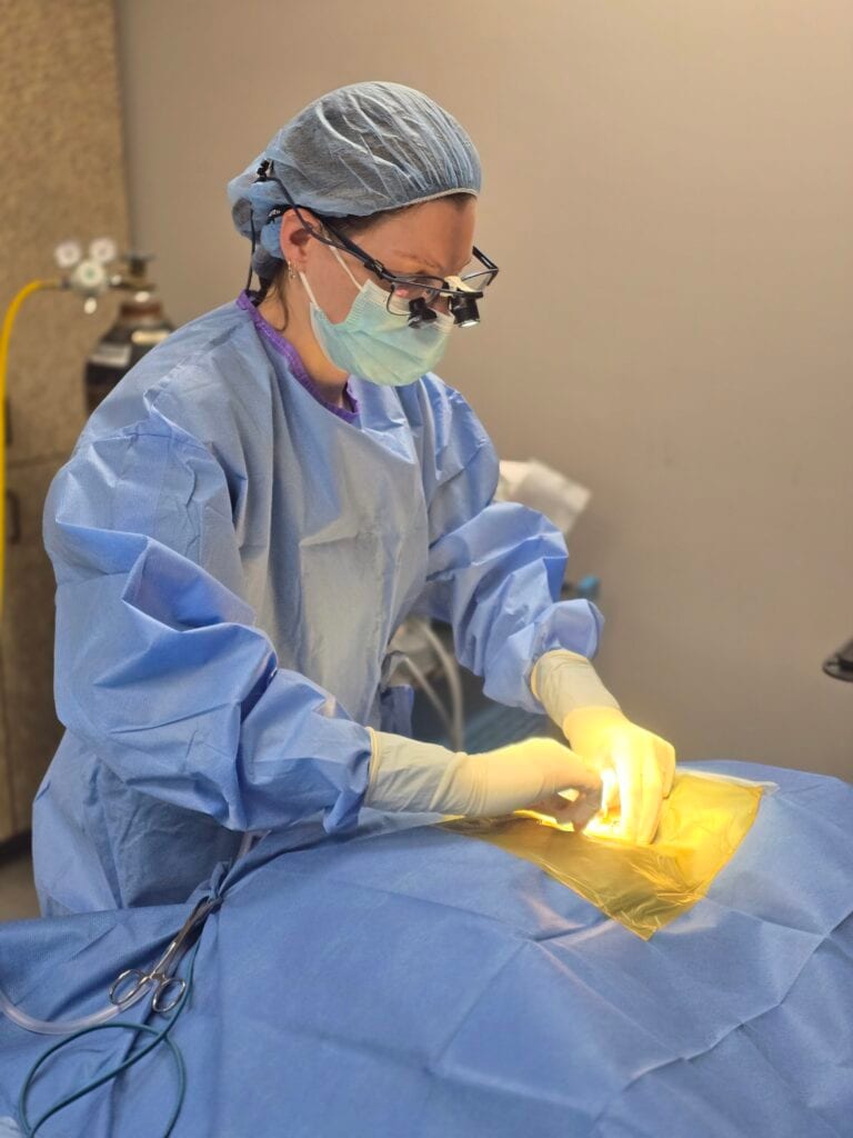 Person in a blue gown, scrub cap, mask and head-mounted magnifying glasses working over a draped table