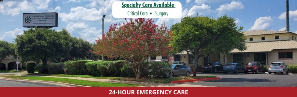 Single-storey building exterior with trees and a red banner reading 24-Hour Emergency Care