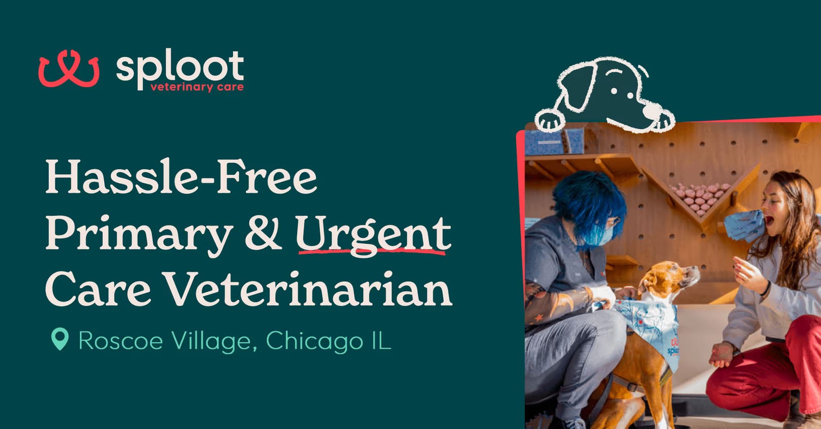 Promotional graphic reading Hassle-Free Primary & Urgent Care Veterinarian with a Chicago location line