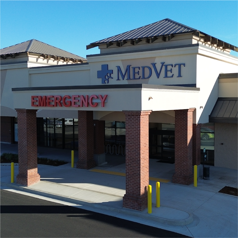 MedVet Vancouver - Vancouver