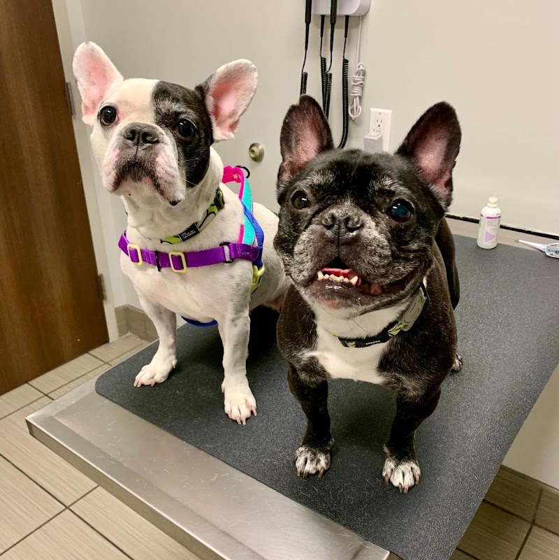 Pure Paws Veterinary Care of Hell's Kitchen