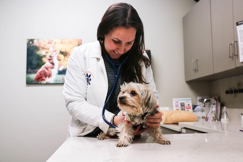 Pure Paws Veterinary Care of Hell's Kitchen