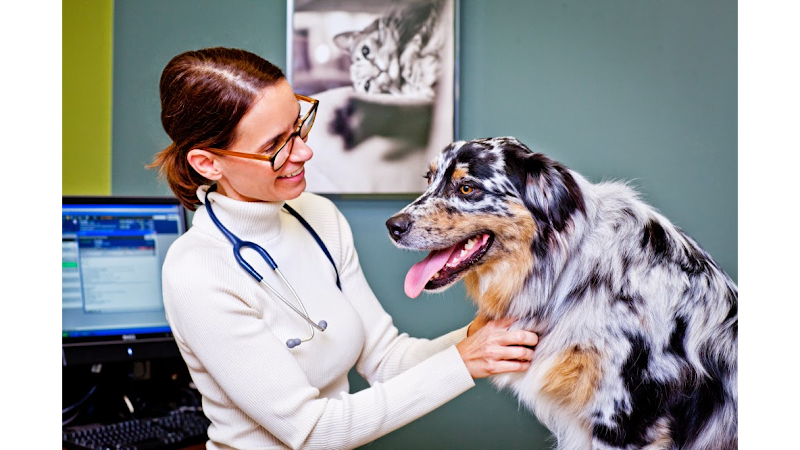Veterinary Specialty Hospital - North County