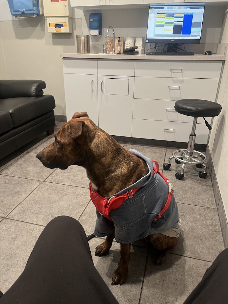 Roscoe Village Animal Hospital