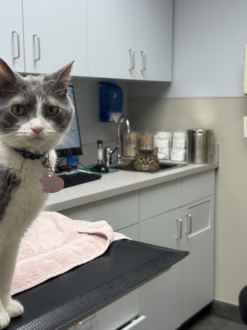 Roscoe Village Animal Hospital