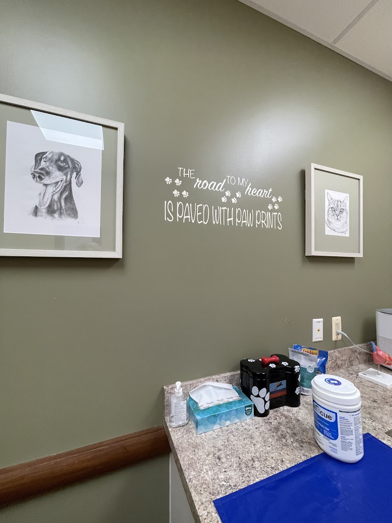 Veterinary Cardiology Consultants