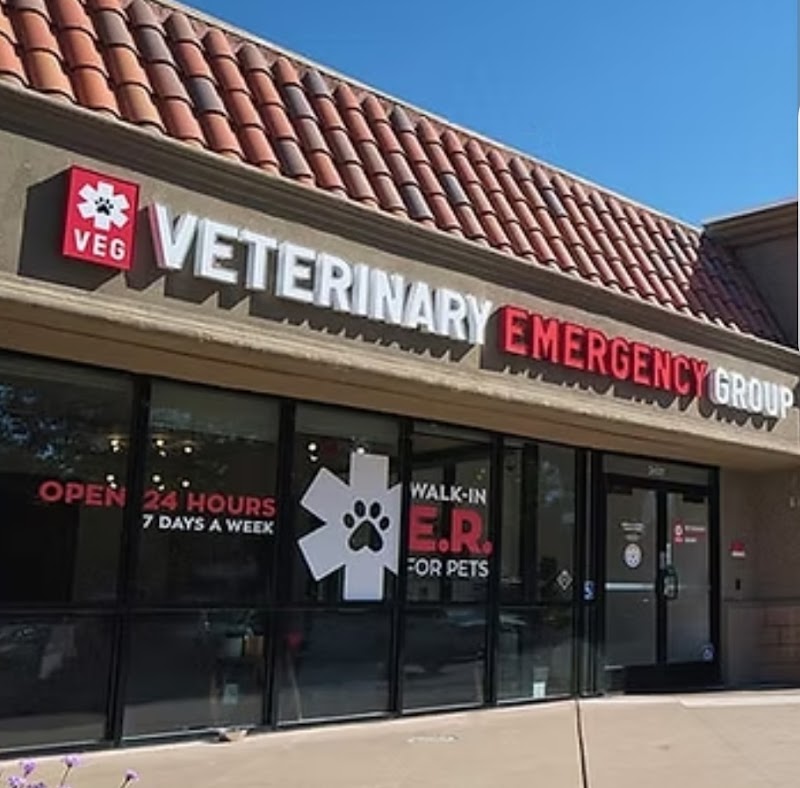 VEG ER for Pets