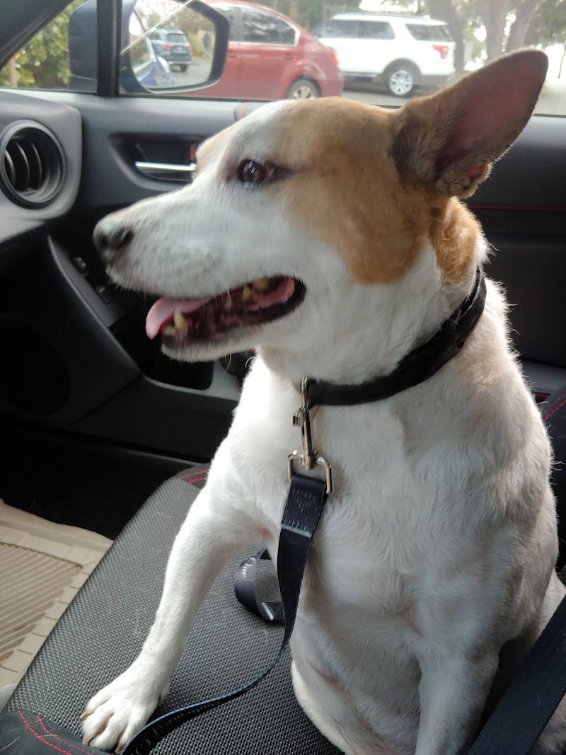 Oaks North Animal Hospital