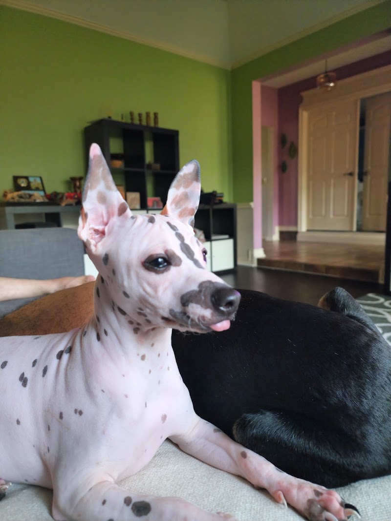 Oaks North Animal Hospital