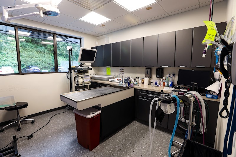 Guardian Veterinary Specialists