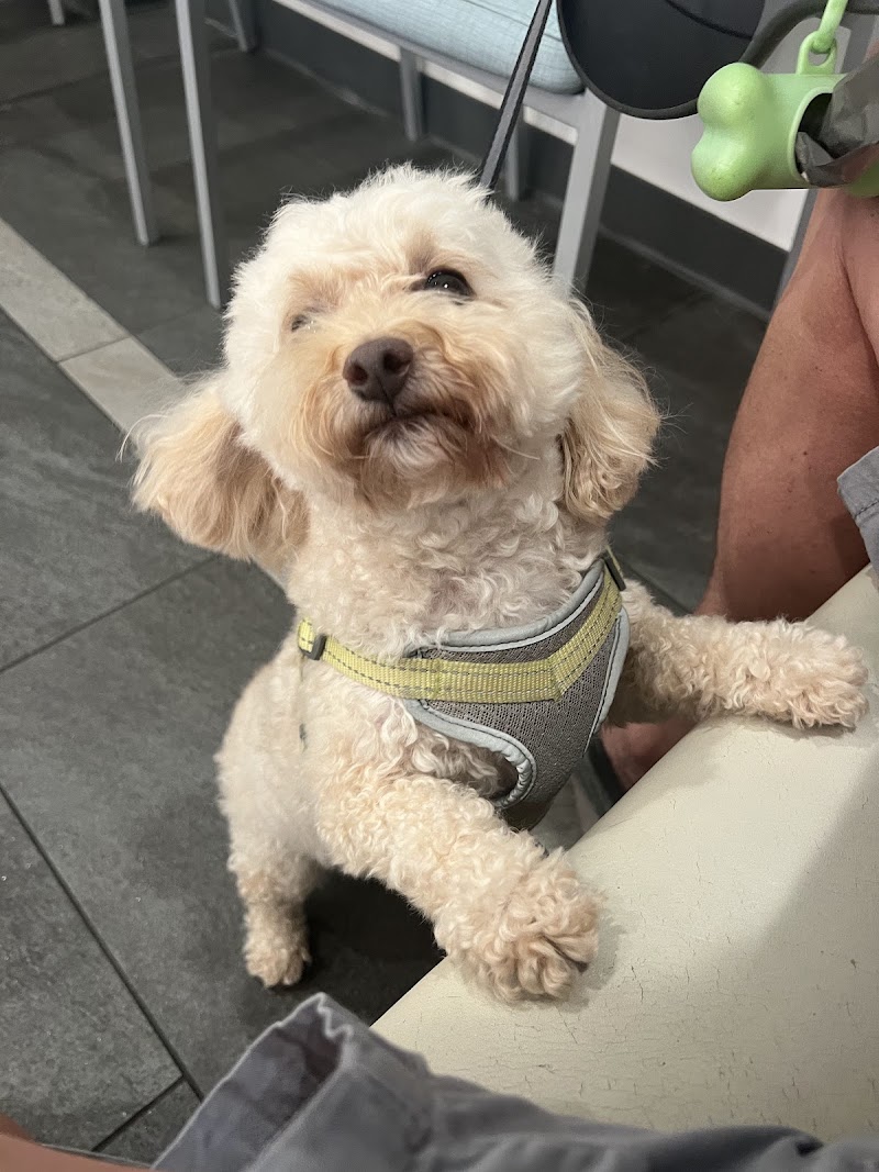 Guardian Veterinary Specialists