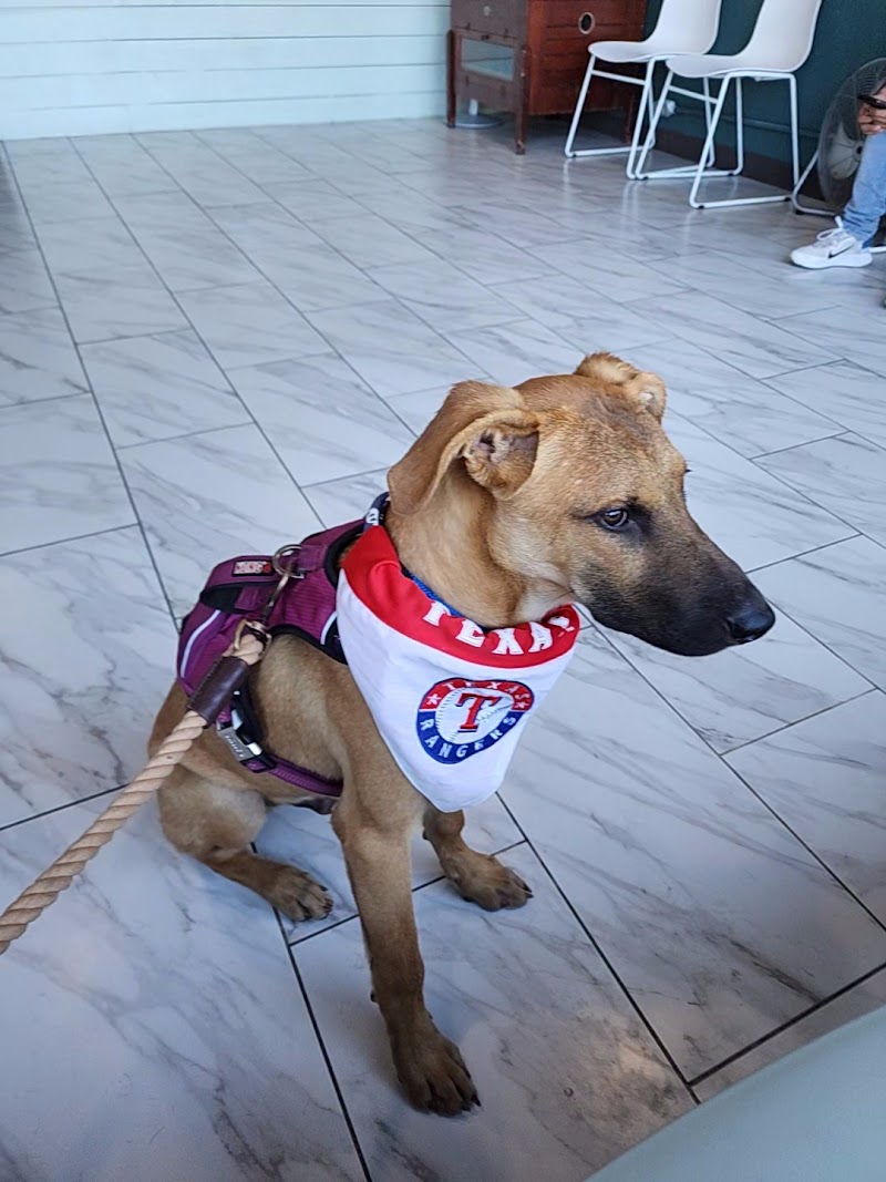 Safe Haven Animal Hospital