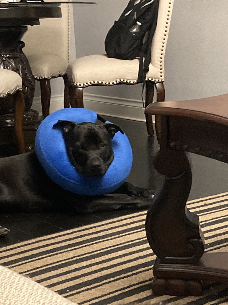 Safe Haven Animal Hospital