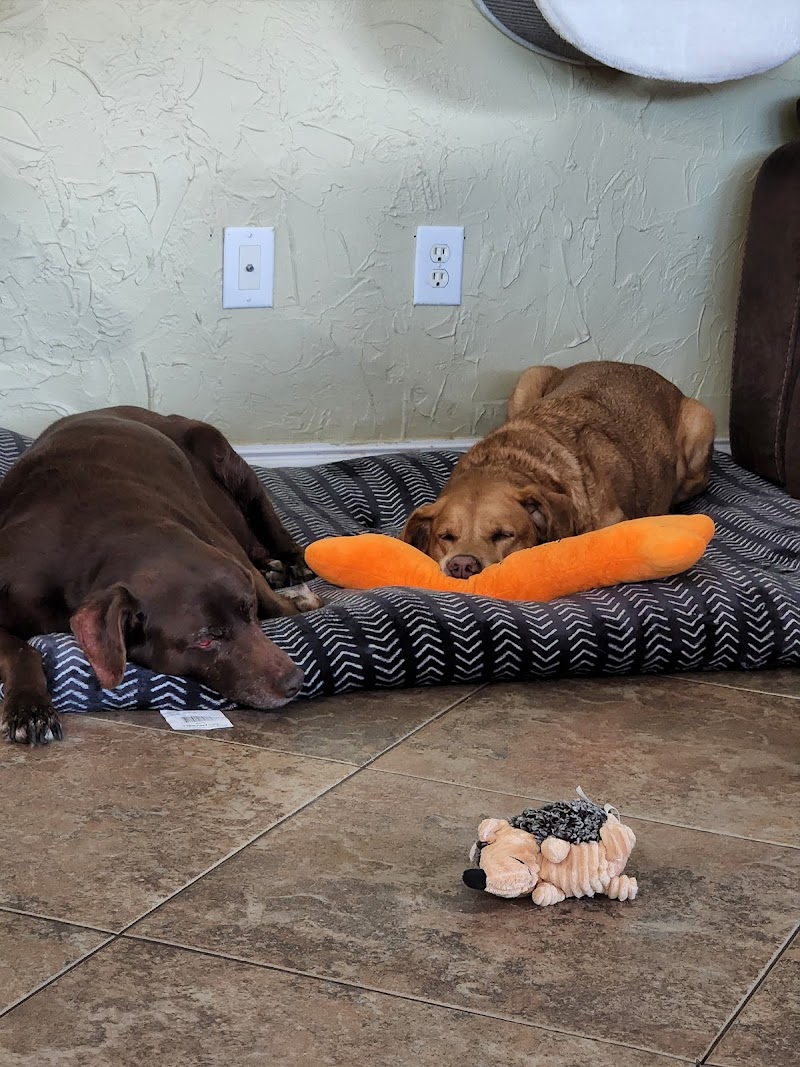 Safe Haven Animal Hospital