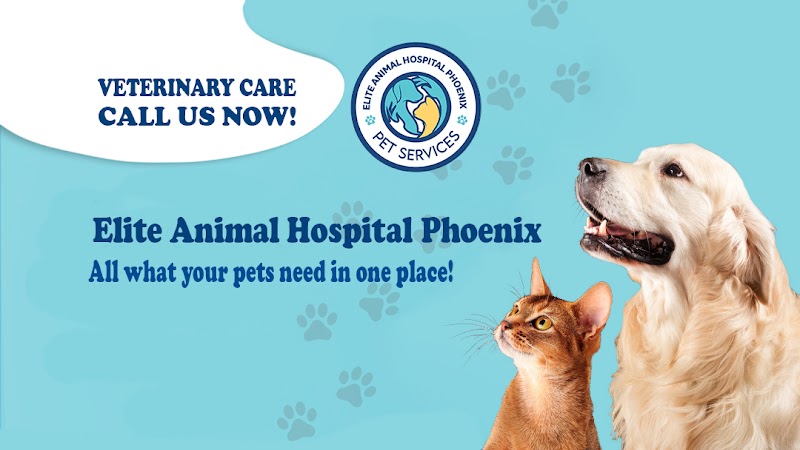 Elite Animal Hospital Phoenix