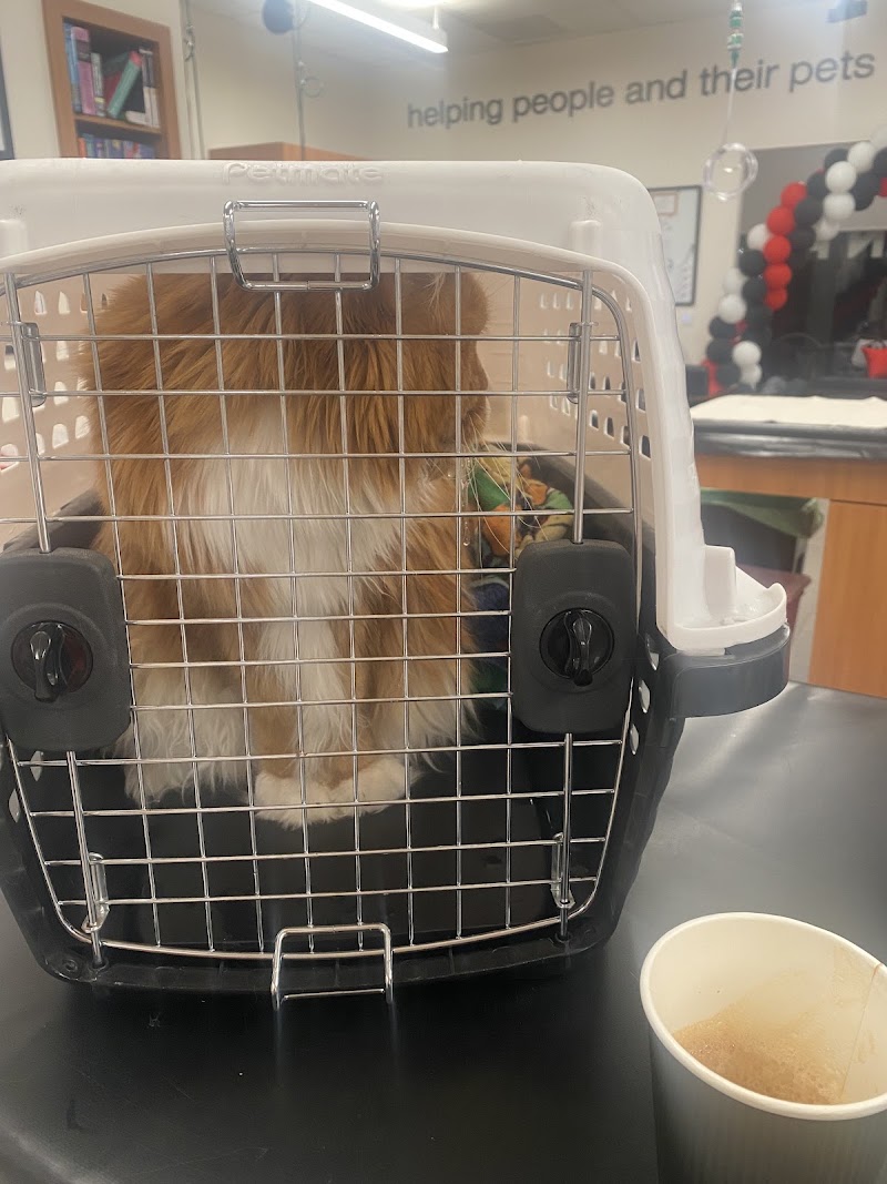 Veterinary Emergency Group