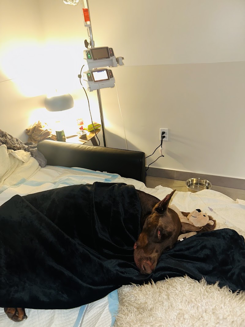 Veterinary Emergency Group