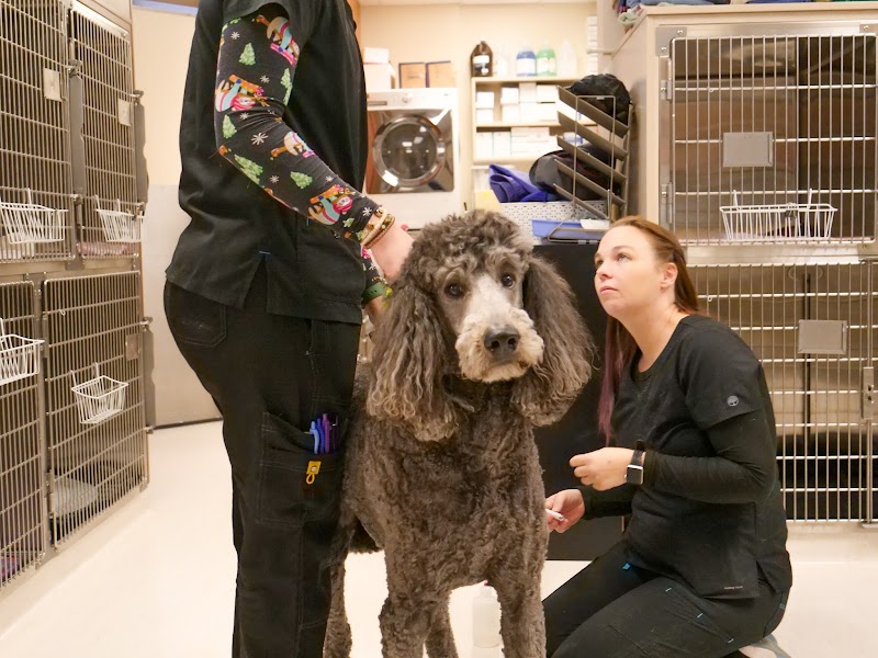 Lakefield Veterinary Group