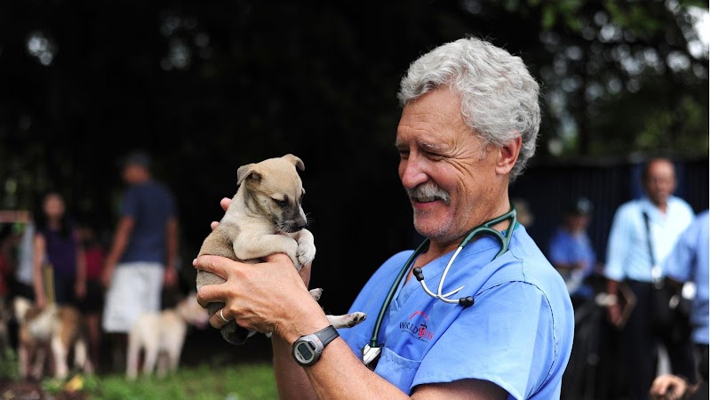 Lakefield Veterinary Group - Kent