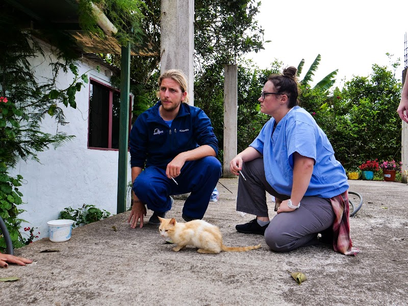 Lakefield Veterinary Group