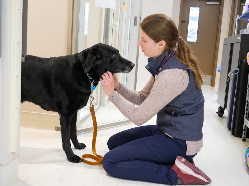Lakefield Veterinary Group
