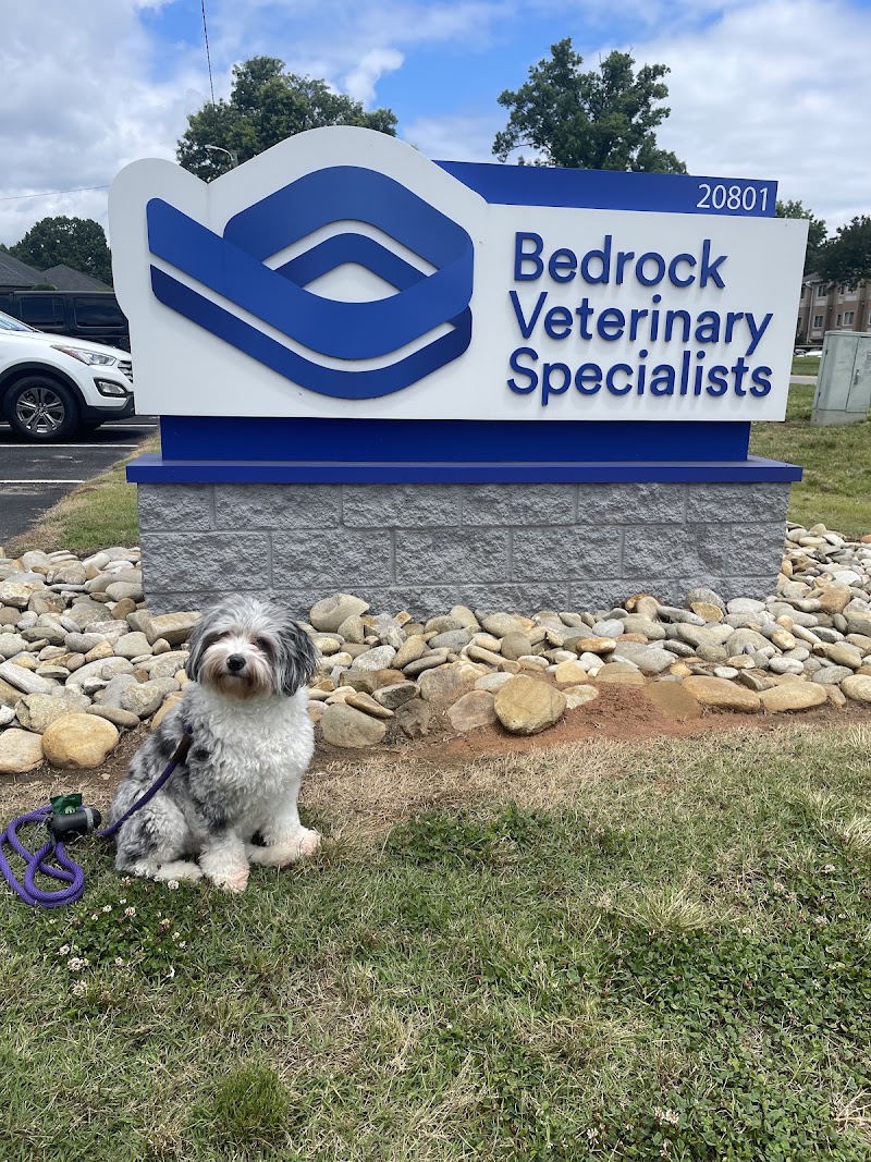 Bedrock Veterinary Specialists