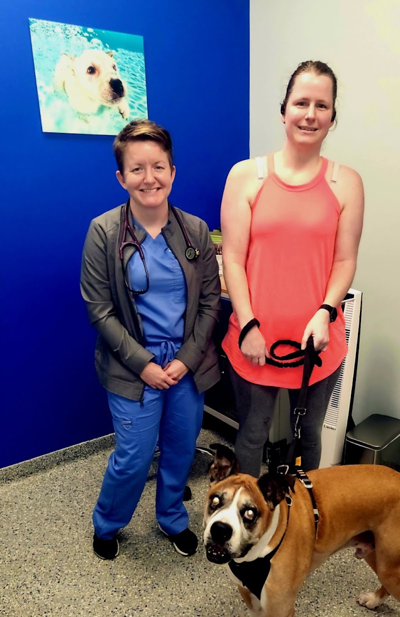 Bedrock Veterinary Specialists