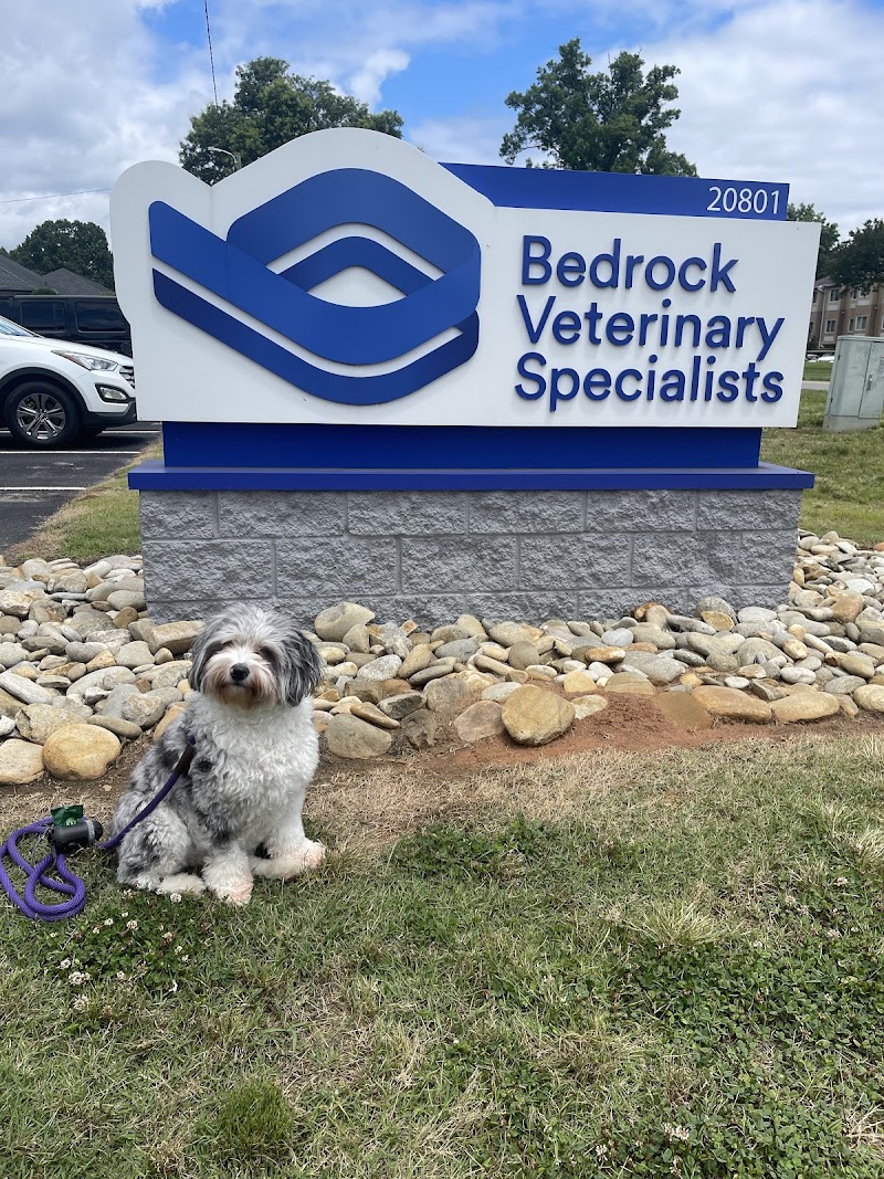 Bedrock Veterinary Specialists