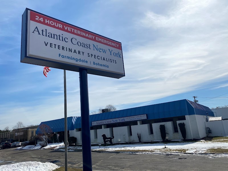Atlantic Coast New York Veterinary Specialists