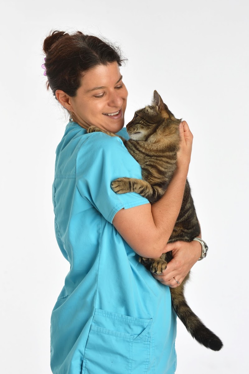 Holistic Veterinary Services - Chicago
