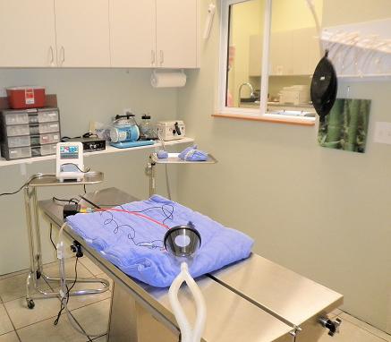 Companion Care Veterinary Hospital & Urgent Care