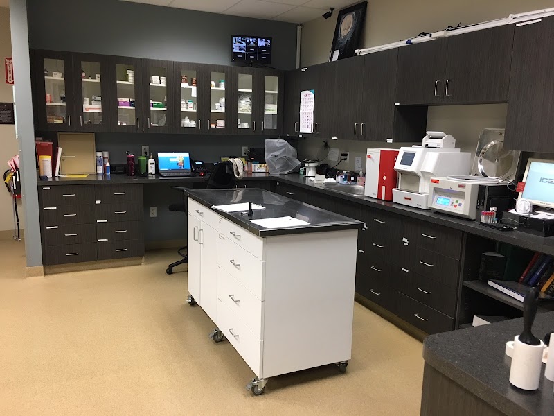 Animal Cancer Care Specialists - Acton