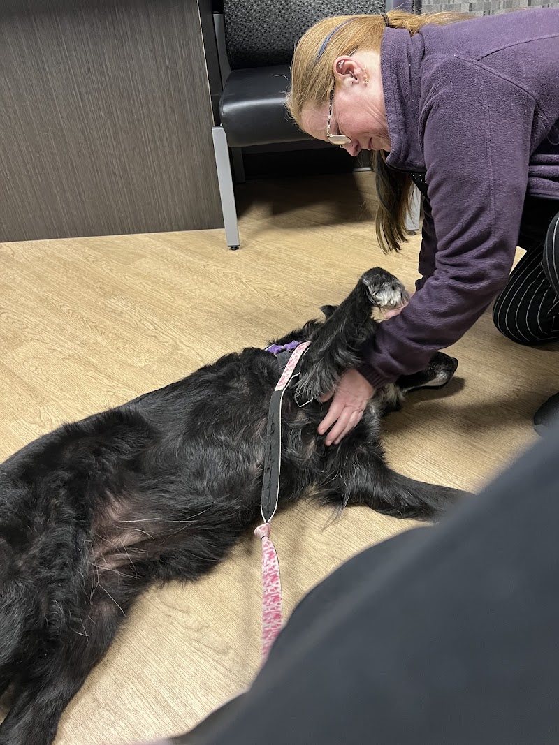 Animal Cancer Care Specialists