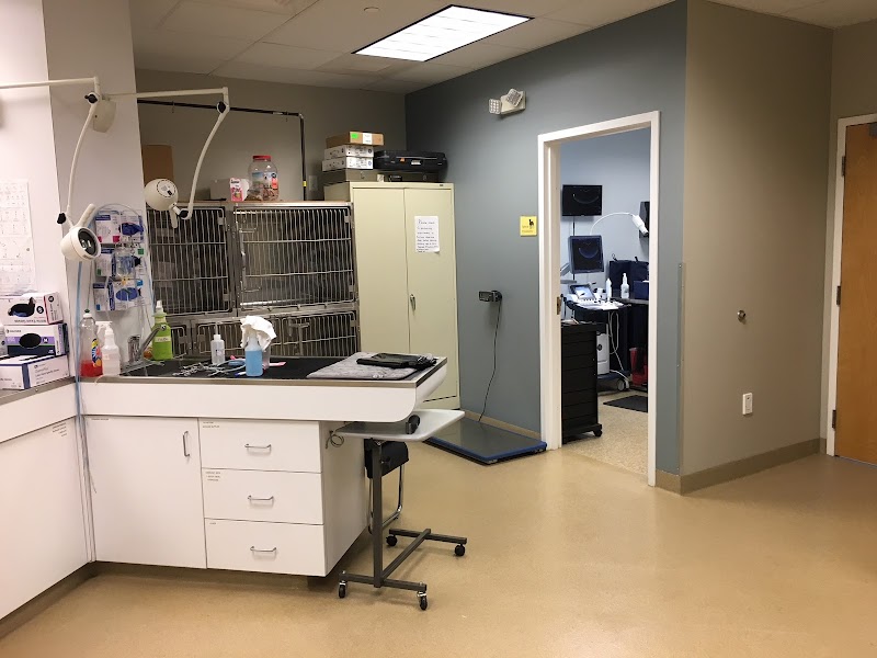 Animal Cancer Care Specialists