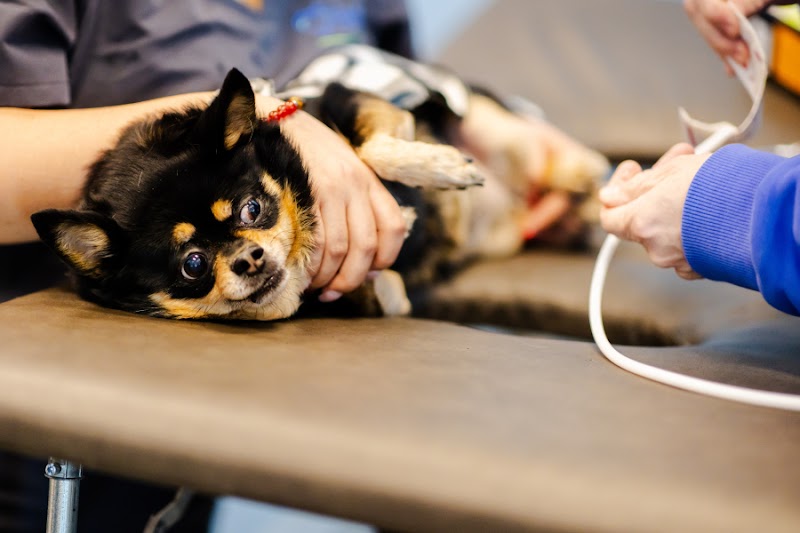 HeartVet